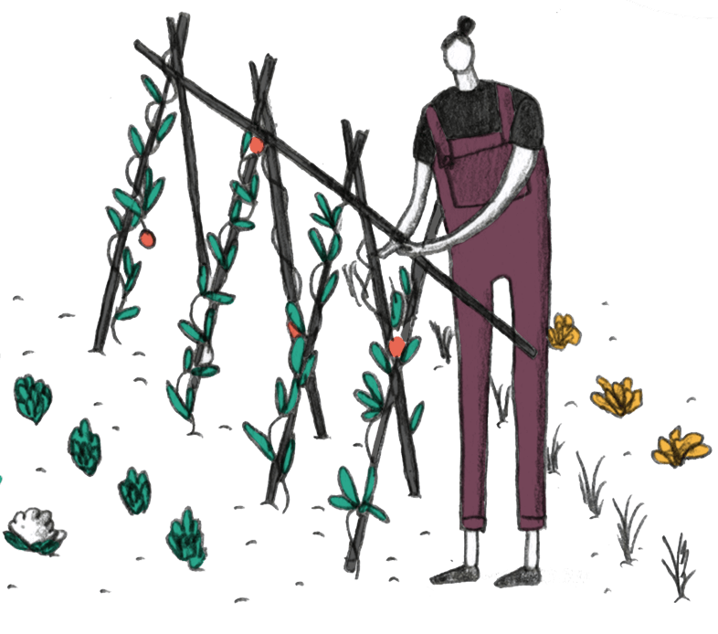 sobre-ilustracao